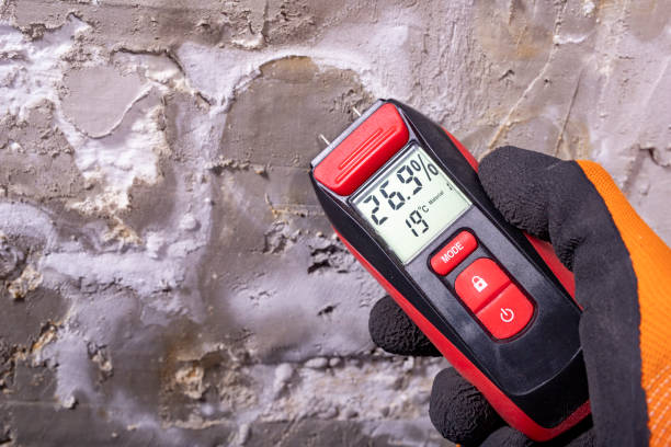 Best Mold Removal and Inspection  in , KS