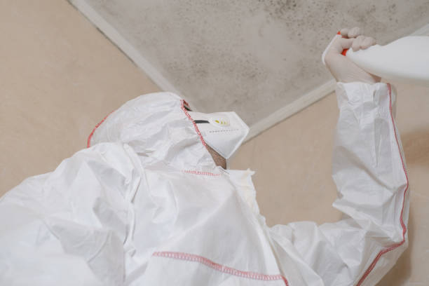 Best Attic Mold Removal  in , KS