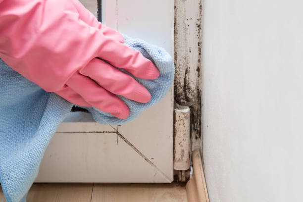  , KS Mold Removal Pros